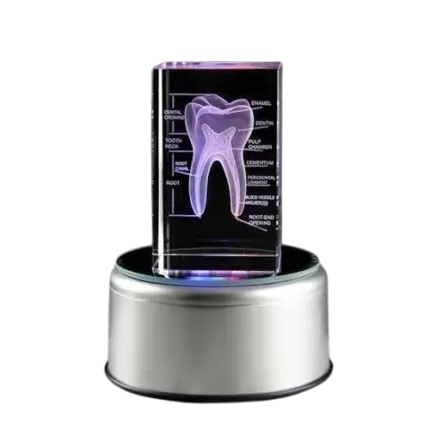 3D_Crystal_Tooth_Model3-removebg-preview-430×430