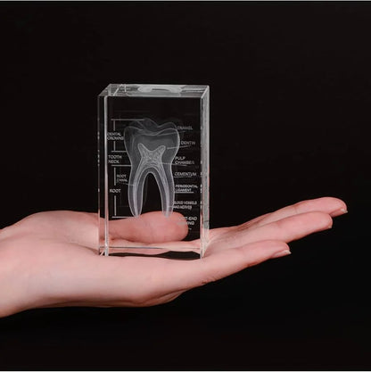 3D-Crystal-Tooth-Model