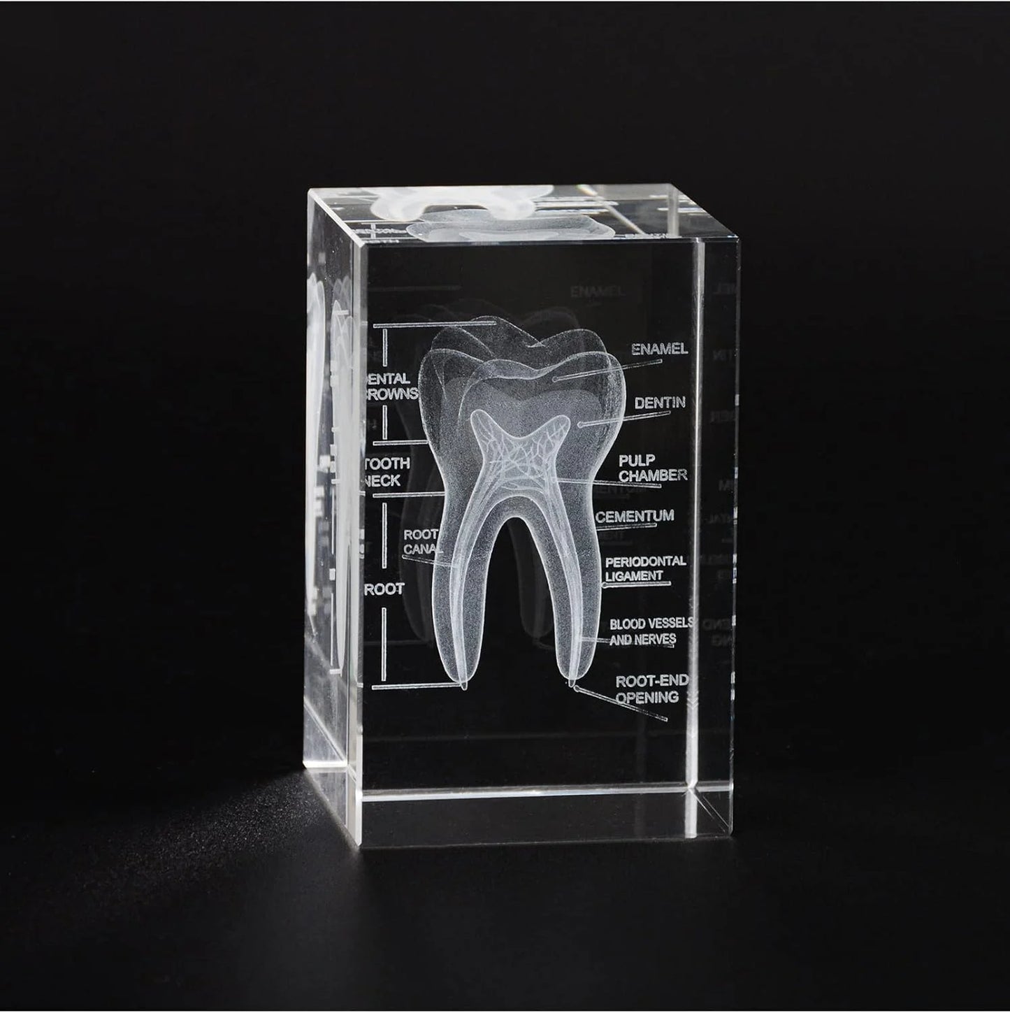 3D-Crystal-Tooth-Model2