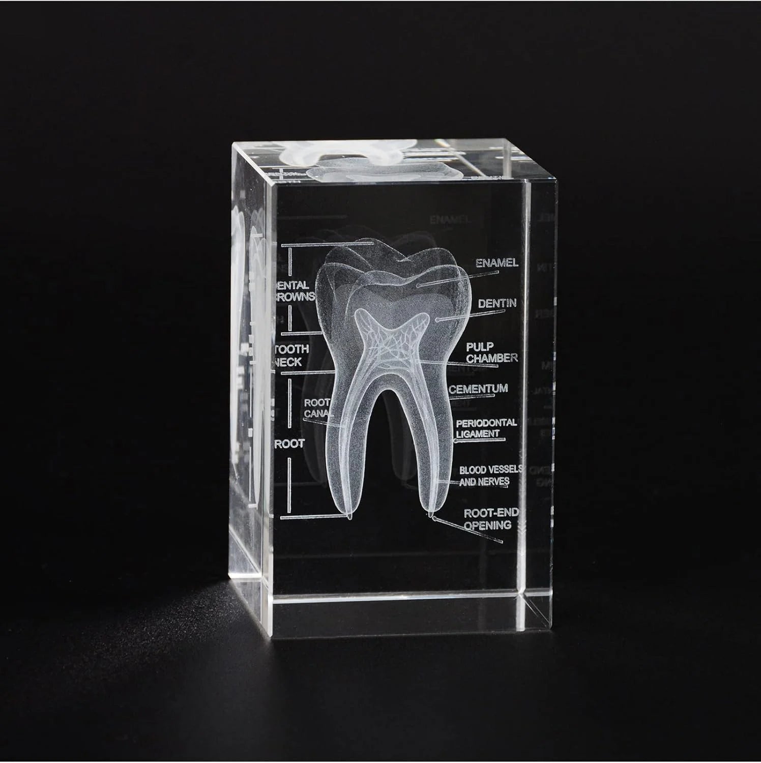 3D-Crystal-Tooth-Model2