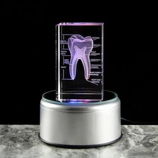 3D-Crystal-Tooth-Model3