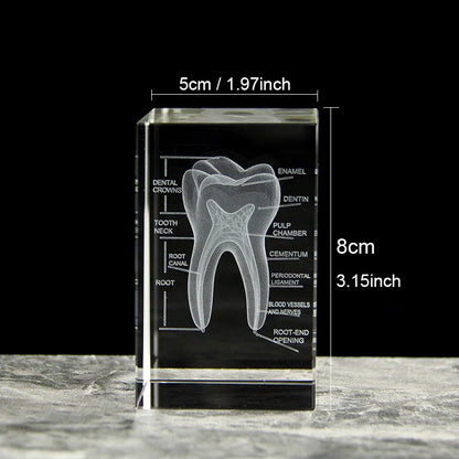 size-model
