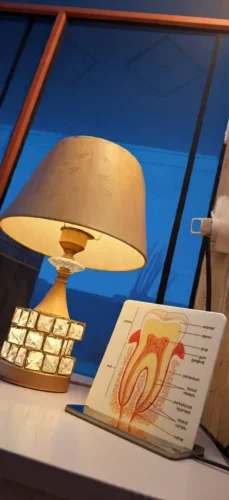 Dental Desk Anatomy Model photo review