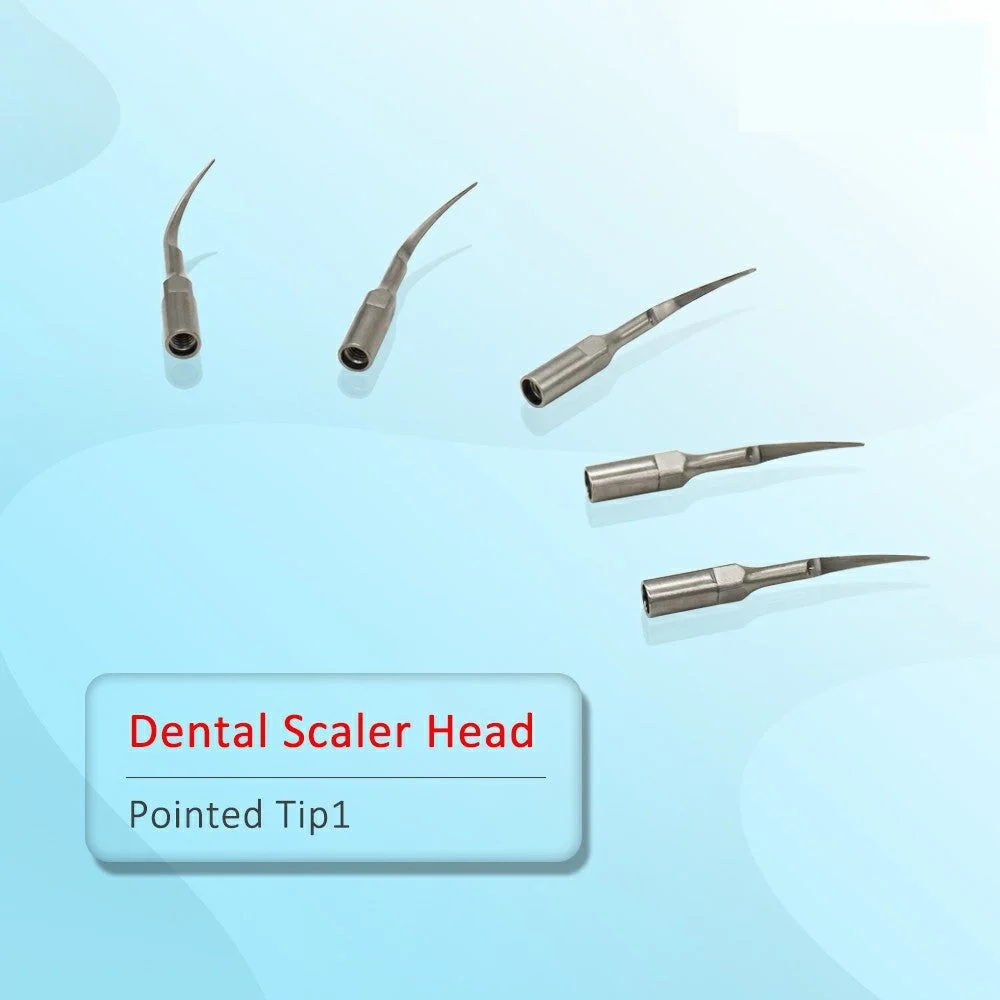 Scaler Tips (5/Pack) - Image 4