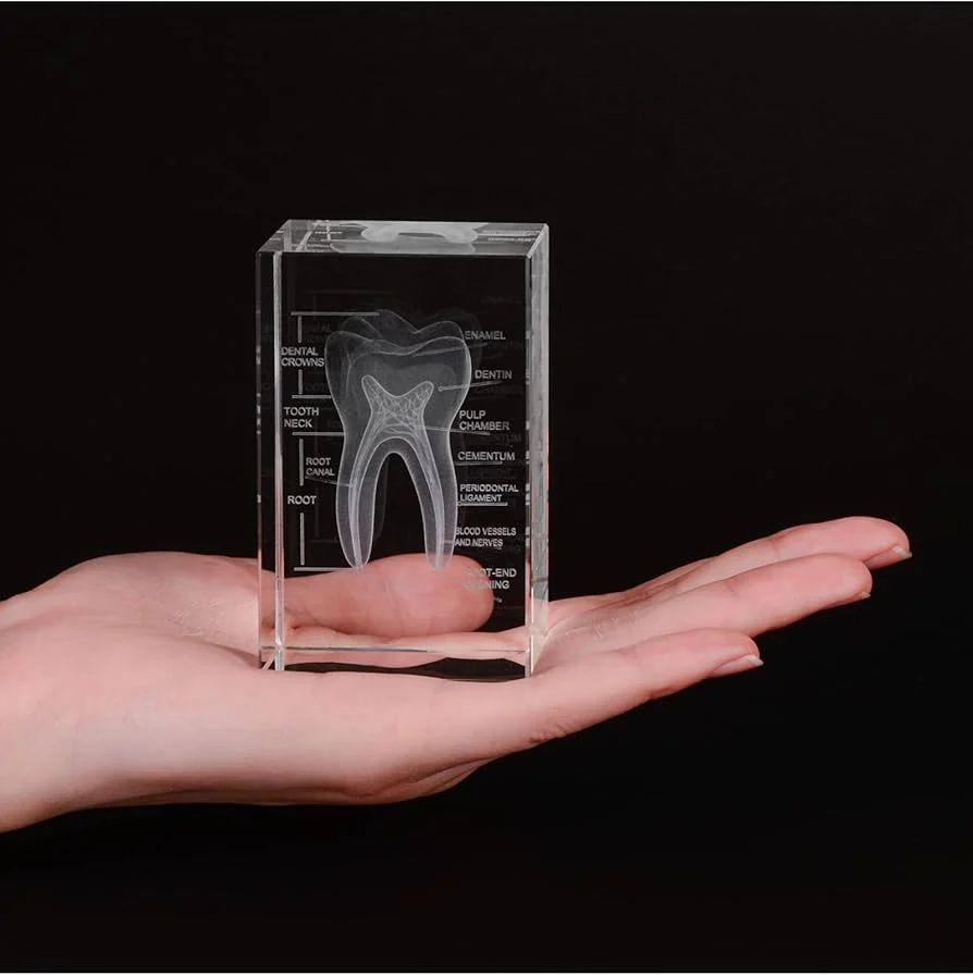 3D Crystal Teeth Model - Image 2