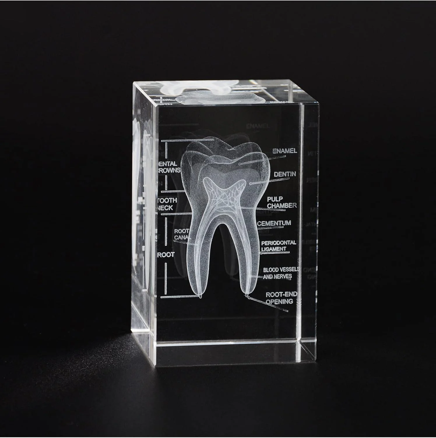 3D Crystal Teeth Model - Image 3