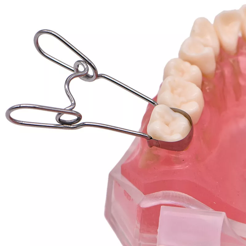Dental Saddle Contoured Metal Matrices Matrix - Image 4