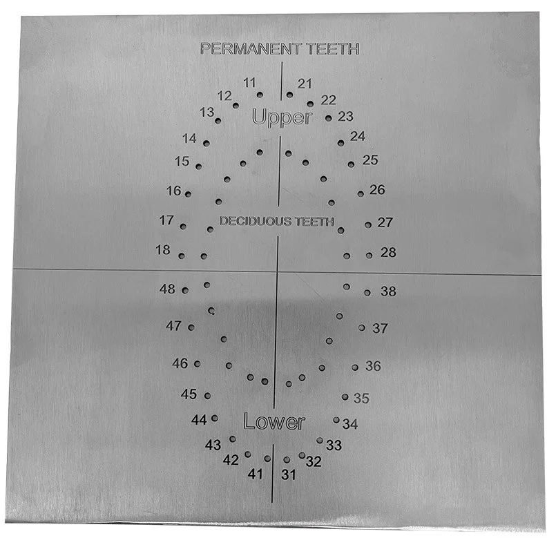 Rubber Dam Template for Hole Punching - Tool for Endodontic, Restorative Dentistry, and Oral Isolation