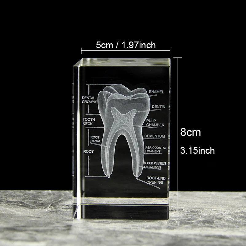 3D Crystal Teeth Model - Image 4