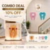 (Get 10% OFF) Dental Teeth Shape Wall Signs (3/Pack) + Dental Anatomy Model — Combo Deal